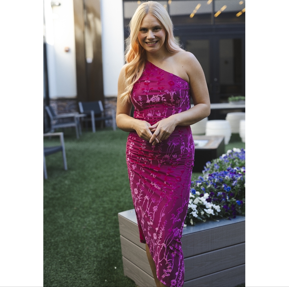 Anthropologie Pink Velvet Floral Dress - Picture 2 of 3